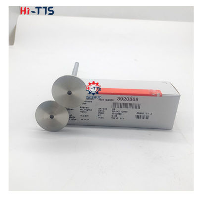 Καλή τιμή 4BT 6BT 6D102 Ατμομηχανή ντίζελ Βαλβίδα εισόδου Βαλβίδα εξάτμισης 4995554 3901117 3920867 3920868 σε απευθείας σύνδεση