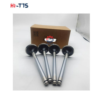 D2366 Εναλλακτικά μέρη κινητήρα ντίζελ Βαλβίδα εισόδου 6504101-0044